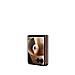 Razr 70 Ultra 5G 512GB 16GB Ram Dual Display 6.96"+4" AMOLED Main Camera 50+50MP Selfie 50MP nanoSIM+eSIM Android 16 Snapdragon 8 Elite 5000mAh Pantone Cocoa - Foto miniatura 11