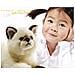 peluche "gaudy" gatto siamese - l. 40 cm - Foto miniatura 2
