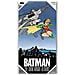 Il Cavaliere Oscuro The Dark Knight Returns Glass Poster Batman E Robin 60 X 30 Cm - Foto miniatura 1