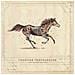 Turnpike Troubadours - A Long Way From Your Heart - Foto miniatura 1