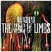 Radiohead - The King Of Limbs - Foto miniatura 1