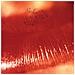 Cure (The) - Kiss Me Kiss Me Kiss Me (2 Lp)  - Foto miniatura 1
