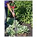 Duo Pack - ™ - Nero - Adulto - Attrezzi Da Giardino - Vanga - Trapiantatore - Acciaio Al Carbonio - Impugnatura A 360 Gradi - Foto miniatura 1