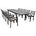 Set Tavolo Giardino Allungabile Rettangolare 200/300 X 100 Con 10 Poltrone In Alluminio Taupe Da Esterno - Foto miniatura 1
