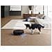 DEEBOT T50 OMNI Gen3 0,26 L Nero - Foto miniatura 15