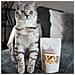 Snack Per Gatti - Gamberi Giganti (liofilizzati) Da - 25g - Foto miniatura 4