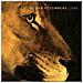William Fitzsimmons - Lions - Foto miniatura 1