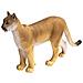 100105 Wildlife Wonders Florida Panther Minature - Foto miniatura 1