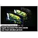 TV LED 8K Ultra HD 190.5" QE75QN800DTXXU - Foto miniatura 13