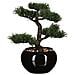 Pianta Bonsai Artificiale Con Vaso Verde - Foto miniatura 1