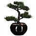 Pianta Bonsai Artificiale Con Vaso Verde - Foto miniatura 4