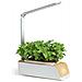 Macchina Per Piantare Idroponica Intelligente: Sistema Di Illuminazione Led Con Altezza Regolabile - Foto miniatura 1