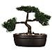 Pianta Bonsai Artificiale Con Vaso Verde - Foto miniatura 4