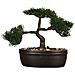 Pianta Bonsai Artificiale Con Vaso Verde - Foto miniatura 1