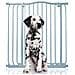 Bettacare Cancelletto Per Cani Extra Alto Con Parte Superiore Incurvata, 80cm - 89cm, Grigio Opaco, Extra Alto 100cm In Altezza - Foto miniatura 1