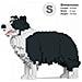 Installazioni 3d Border Collie - Foto miniatura 1