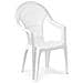 Sedia da Giardino Con braccioli Colore Biango - Modello Vega - Foto miniatura 1
