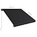 Tenda Da Sole Retrattile Manuale 350x250 Cm Antracite - Foto miniatura 6