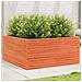 Fioriera Giardino 100x100x46 Cm Legno Massello Pino - Foto miniatura 1