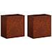 Vaso da giardino 2 pz Ruggine 50 x 30 x 50 cm Acciaio Corten - Foto miniatura 1