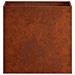 Vaso da giardino 2 pz Ruggine 50 x 30 x 50 cm Acciaio Corten - Foto miniatura 5