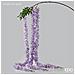 Ramo Glicine Chic Lavanda X3 H250cm - Foto miniatura 1