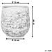 Vaso Per Piante In Color Grigio Pietra 32 Cm Dioni - Foto miniatura 2