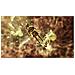 Sw Swi 10009785 Xenoblade Chronicles 3 - Foto miniatura 10
