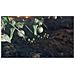 Sw Swi 10009785 Xenoblade Chronicles 3 - Foto miniatura 37