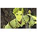 Sw Swi 10009785 Xenoblade Chronicles 3 - Foto miniatura 7