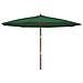 Ombrellone Da Giardino Con Palo In Legno Verde 400x273 Cm - Foto miniatura 2