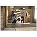 Lavatrice Standard WWB100WCS 8 Kg Classe A Centrifuga 1400 giri - Foto miniatura 7