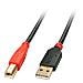 USB A / USB B 10m, USB A, USB B, Maschio / maschio, Dritto, Dritto, Nero, Rosso - Foto miniatura 1