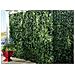 3mt Edera Finta Sempreverde Siepe Foglie Ornamentali Frangivista Coprente Per Recinzione 1.5h Mt 3mt - Foto miniatura 3