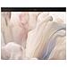 Pro 14 Premium PA14250 Copilot+ PC Intel Core Ultra 5 238V Computer portatile 35,6 cm (14") Full HD+ 32 GB LPDDR5x-SDRAM 512 GB SSD Wi-Fi 7 (802.11be) Windows 11 Pro Tedesco Grigio - Foto miniatura 5