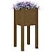 Fioriere Da Giardino 2 Pz Miele 31x31x70 Cm In Legno Di Pino - Foto miniatura 3
