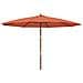 Ombrellone Da Giardino Con Palo In Legno Terracotta 400x273 Cm - Foto miniatura 1