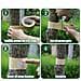 Nastro Barriera Efficace Per Insetti Per La Protezione Degli Alberi - Foto miniatura 5