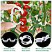 Ganci Per Pomodori Da Giardino, 40 Pezzi - Supporto Ideale Per Piante Rampicanti - Foto miniatura 5