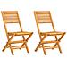 Sedie Da Giardino Pieghevoli 2pz 47x62x90cm Legno Massello Teak - Foto miniatura 1