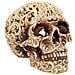 Nemesis Now - Skulls - Figura Della Decadenza Celtica 18,5 Cm - Foto miniatura 2