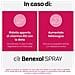 Benexol Spray Integratore Alimentare con Vitamina B12 Ad Alto Dosaggio, con Edulcorante, Flacone da 15ml - Foto miniatura 6