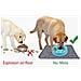 Silicone Pet Feeding Mat Non Di Slittamento Impermeabile Ciotola Mat Per Cane E Gatto 47 X 30 Cm Grigio - Foto miniatura 2