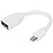 Cavo adattatore DisplayPort, mini DP - DP - Foto miniatura 1