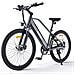 MileTrail 1 Bicicletta Elettrica da Montagna 26'', motore 250W, batteria 36V 13Ah, sensore di velocità, cambio a 7 velocità, freno idraulico a disco, sospensione anteriore, Grigia - Foto miniatura 1