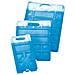 GHIACCIO FREEZ'PACK M10 330G - Foto miniatura 1