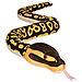 Serpenti Della Repubblica Selvaggia, Peluche Serpente, Animale Di Pezza, Giocattolo Di Peluche, Regali Per Bambini, Pitone Palla, 54 - Foto miniatura 3