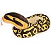 Serpenti Della Repubblica Selvaggia, Peluche Serpente, Animale Di Pezza, Giocattolo Di Peluche, Regali Per Bambini, Pitone Palla, 54 - Foto miniatura 2