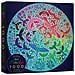 Puzzle Per Adulti Da 1000 Pezzi E Oltre - Bird Paradise Puzzle Da 1000 Pezzi Per Adulti Puzzle Con Uccelli Arcobaleno Con Gradiente Puzzle Rotondi Puzzle Da 265 Pollici Di Diametro - Foto miniatura 1