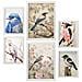 Set Di 6 Stampe Illustrazioni Di Uccelli In Dipinti Decorativi Estetici Per La Cameretta Dei Bambini Per Il Tuo Soggiorno, Camera Da Letto, Casa A3 & A4 Cornice Bianca - Foto miniatura 1